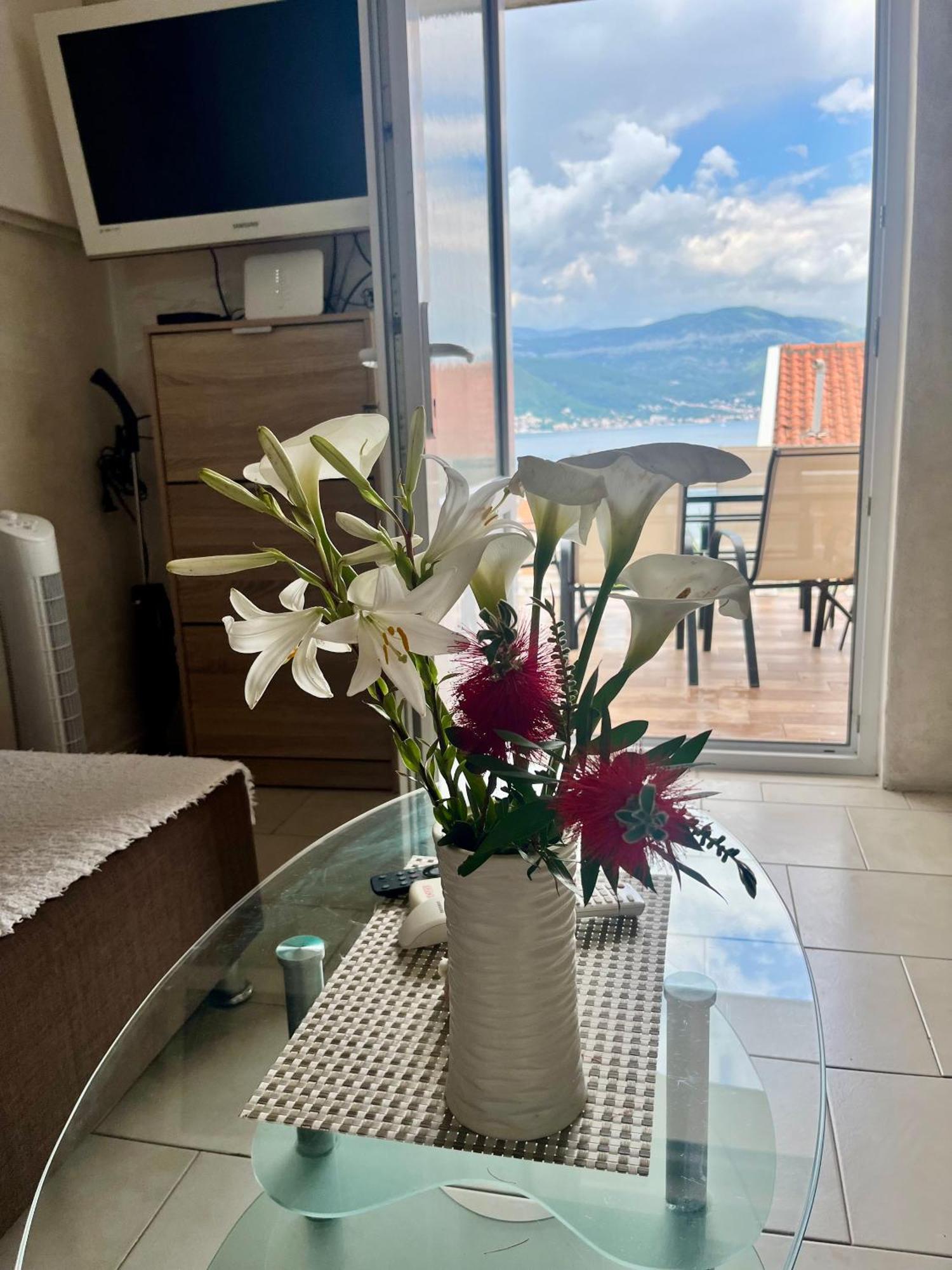 Apartments Obradovic Красичи Номер фото